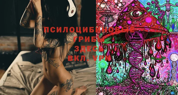 MDMA Premium VHQ Михайлов