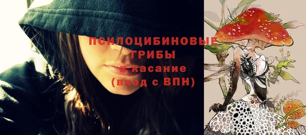 ешки Михайловск