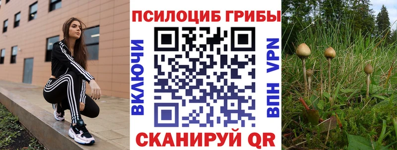 купить Петропавловск-Камчатский Галлюциногенные грибы прущие грибы