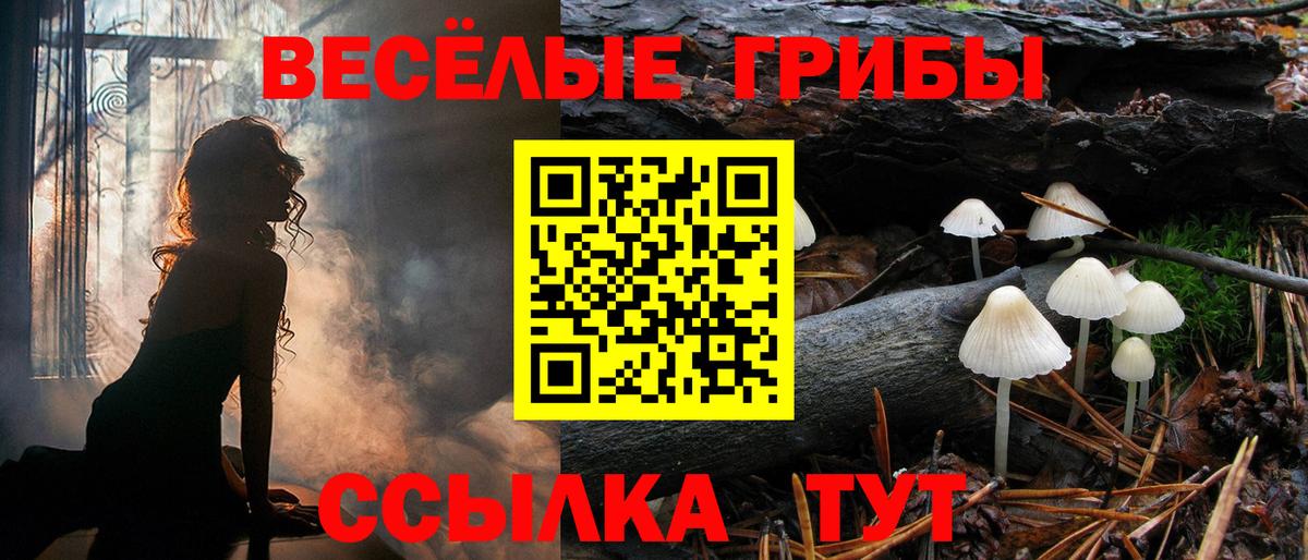 Галлюциногенные грибы ЛСД  Петропавловск-Камчатский  Галлюциногенные грибы MAGIC MUSHROOMS 