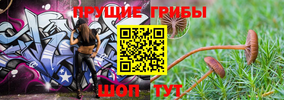 Псилоцибиновые грибы GOLDEN TEACHER Петропавловск-Камчатский