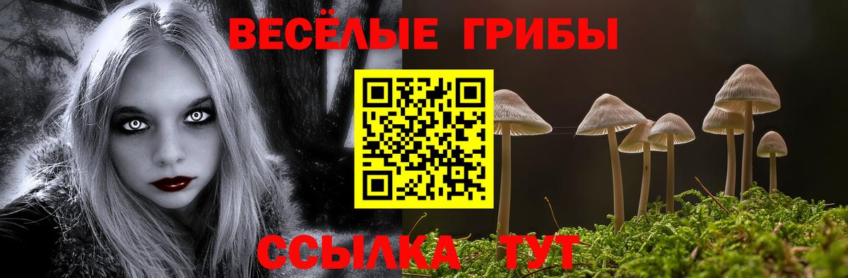 Галлюциногенные грибы MAGIC MUSHROOMS  Вход с VPN  Псилоцибиновые грибы ЛСД  Петропавловск-Камчатский 